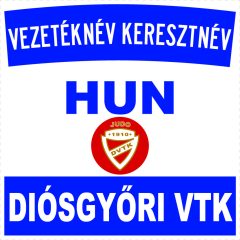 Diósgyőri VTK